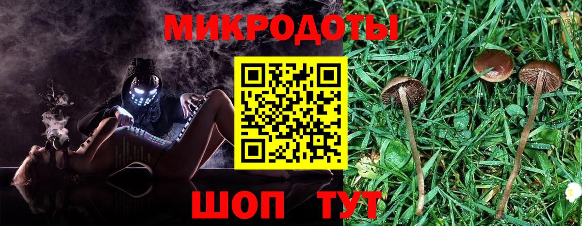 Моршанск  Галлюциногенные грибы прущие грибы  Вход с VPN 